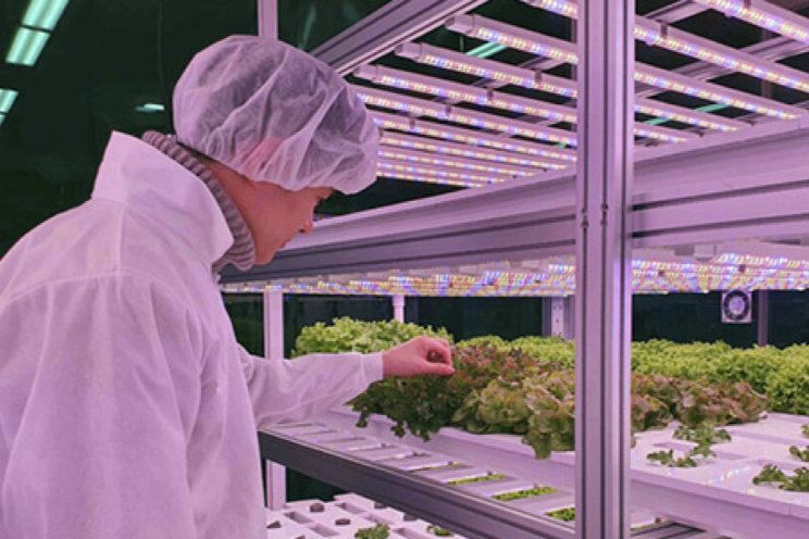 Fieldlab tweede fase in Fieldlab tweede fase in