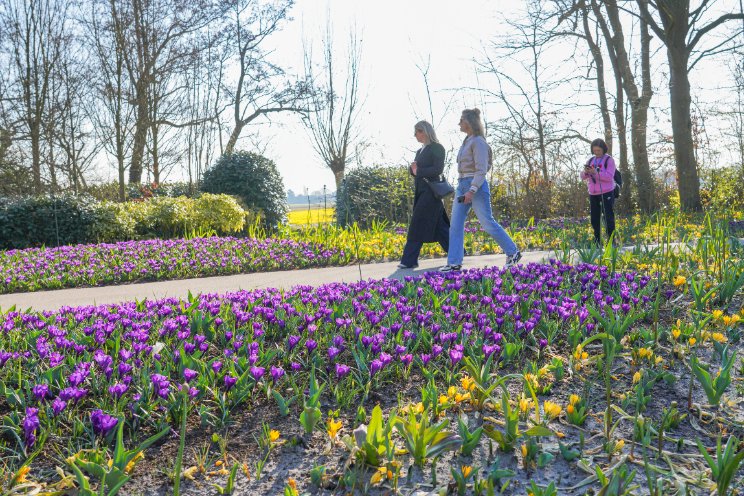Keukenhof weer open: 'goed voor het brein'