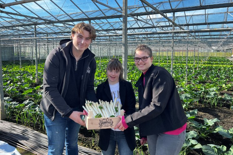 Eerste BoereGoed asperges