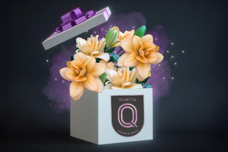 Qualily’s Surprise Selection verrast handel Qualily’s Surprise Selection verrast handel