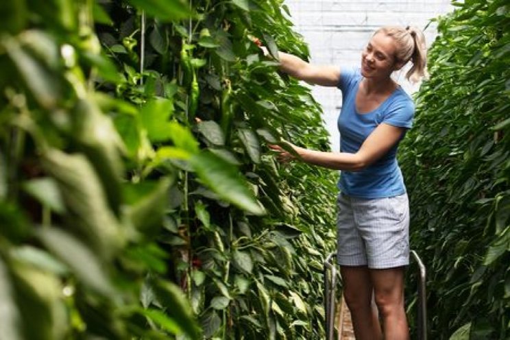 Meer werkloosheid Meer werkloosheid