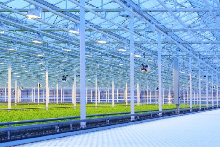 Rekentool voor fiscale maatregelen tuinbouw Rekentool voor fiscale maatregelen tuinbouw