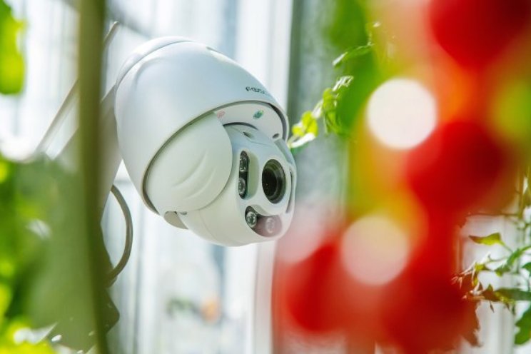 Hele zomer bouwen aan algoritme autonome kas Hele zomer bouwen aan algoritme autonome kas