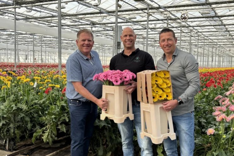 Nieuwe bloemenemmer helpt sector verduurzamen Nieuwe bloemenemmer helpt sector verduurzamen