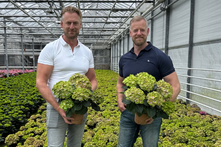 HiBreeding en PerlaNova gaan samenwerken HiBreeding en PerlaNova gaan samenwerken