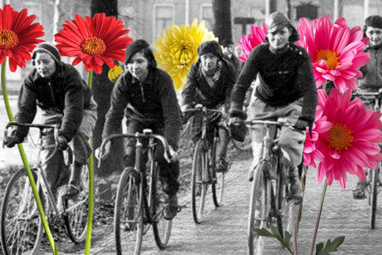 Sierteeltsector eert vrouwenfietsen Sierteeltsector eert vrouwenfietsen