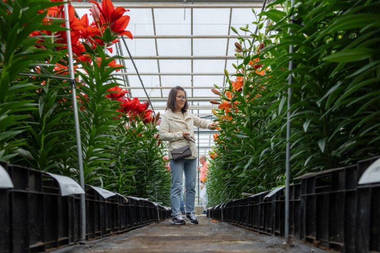 Dutch Lily Days 2024 'indrukwekkend' Dutch Lily Days 2024 'indrukwekkend'