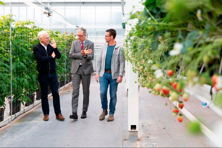 Minister Adema bezoekt Van der Avoird Trayplant Minister Adema bezoekt Van der Avoird Trayplant