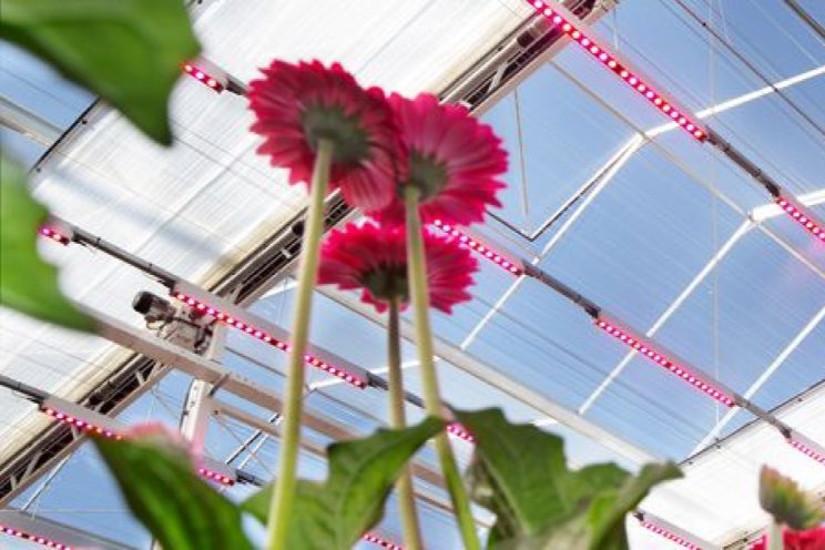 Groene Kracht Vooruit groeit door in 2025 Groene Kracht Vooruit groeit door in 2025