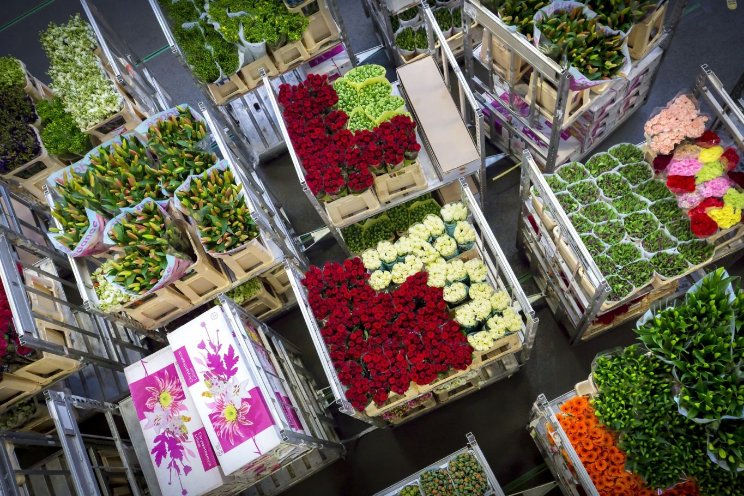 'Werkende stapelwagens essentieel voor processen' 'Werkende stapelwagens essentieel voor processen'