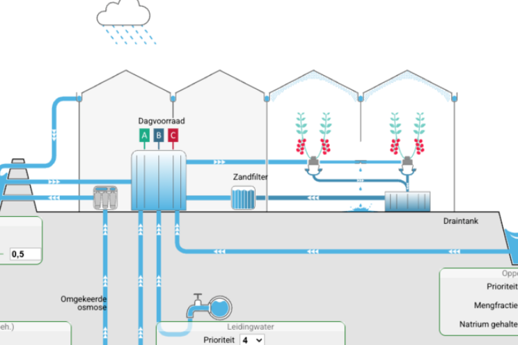 Slim omgaan met water bij substraat dankzij app Slim omgaan met water bij substraat dankzij app