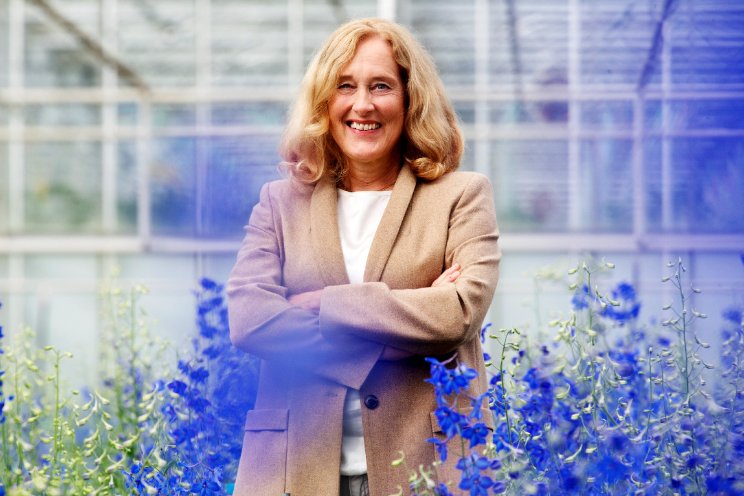 Toekomstvisie Arbeid van Glastuinbouw Nederland Toekomstvisie Arbeid van Glastuinbouw Nederland