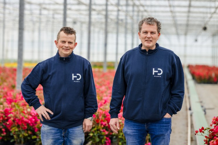 Kwekerij HD Plants lid telersvereniging Addenda Kwekerij HD Plants lid telersvereniging Addenda