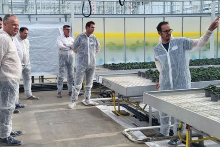 Duurzame en datagedreven pot- en perkplantensector Duurzame en datagedreven pot- en perkplantensector