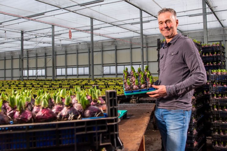 Bollenstreek in bedrijf met H.L. Hogervorst