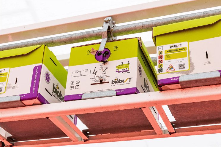 Andere benadering hommel bij toepassing full LED Andere benadering hommel bij toepassing full LED