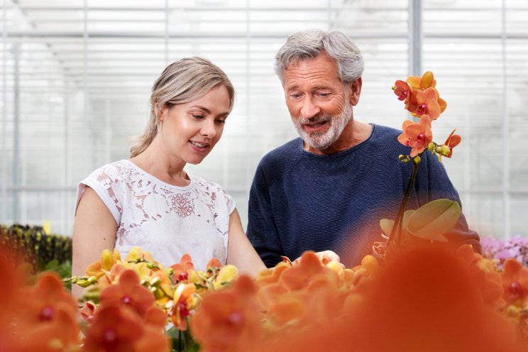 Cao-akkoord tuinbouw: lonen minimaal 7,2% hoger Cao-akkoord tuinbouw: lonen minimaal 7,2% hoger