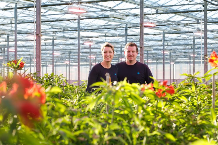Tesselaar Alstroemeria verlaagt CO2 per steel Tesselaar Alstroemeria verlaagt CO2 per steel