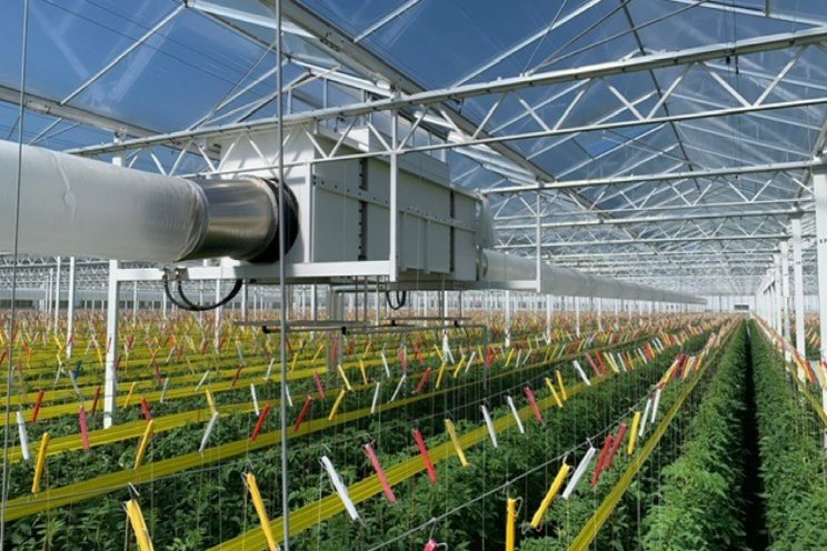 Aparte potjes voor LED en andere EG-technieken Aparte potjes voor LED en andere EG-technieken