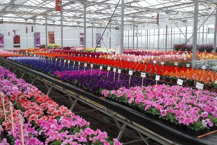 Van 29 april t/m 3 mei: Dutch Spring Trials Van 29 april t/m 3 mei: Dutch Spring Trials