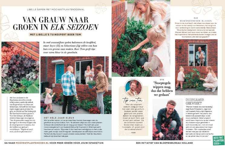 Verhalenserie buitenplanten in consumentenbladen Verhalenserie buitenplanten in consumentenbladen