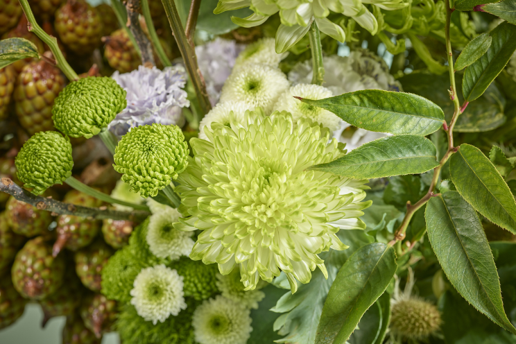 Chrysanten kleuren de donkere dagen in stijl Chrysanten kleuren de donkere dagen in stijl