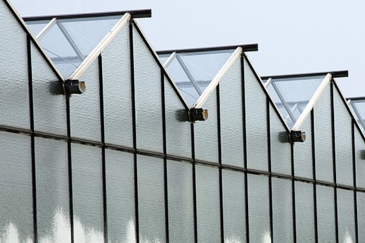 Oordeel rechter verbaast Glastuinbouw Nederland Oordeel rechter verbaast Glastuinbouw Nederland