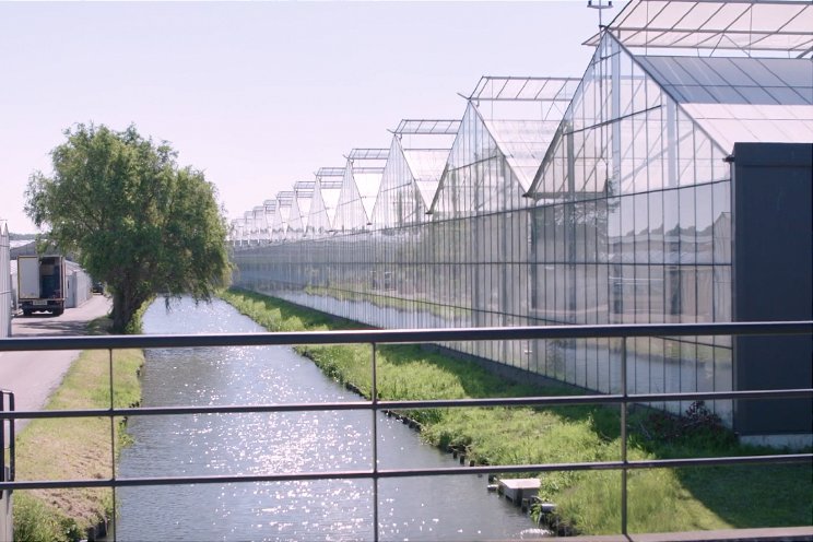 Gebrek drinkwater dreigt bedrijven te raken Gebrek drinkwater dreigt bedrijven te raken