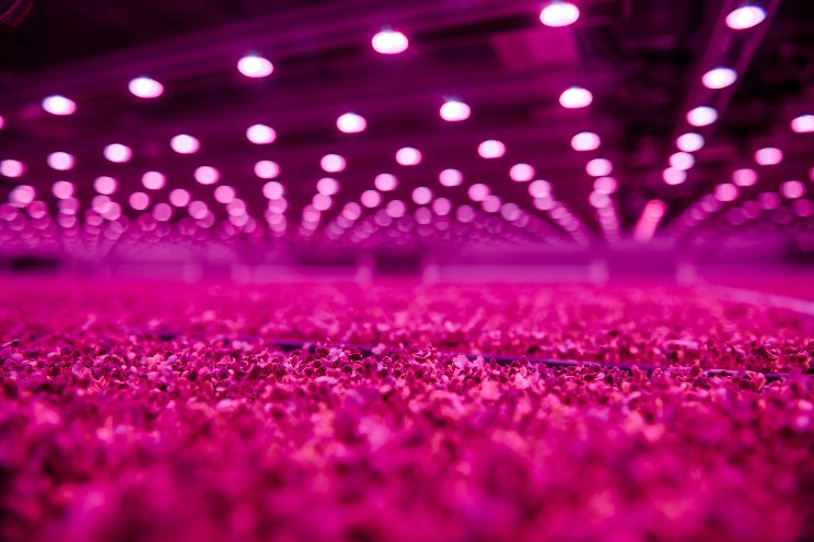Hoe haal je ng betere resultaten uit LED?