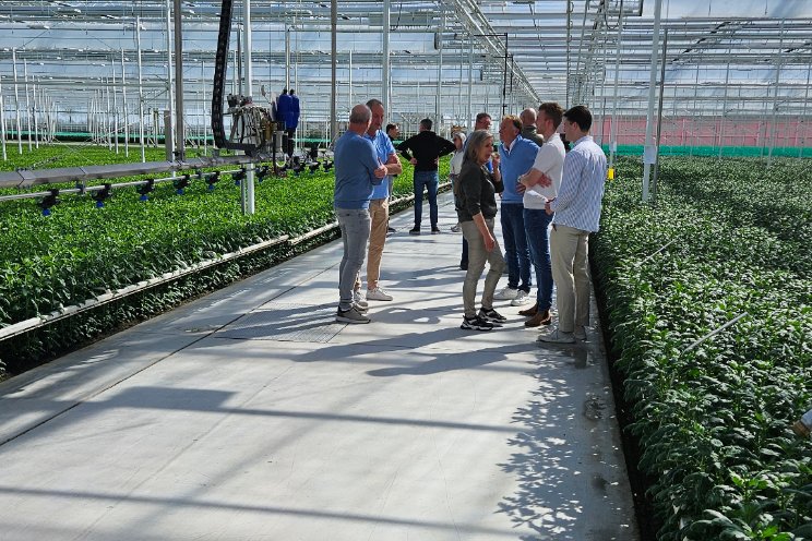 Grote belangstelling voor Open Dag J&A Flowers