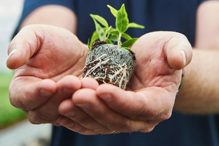Growcoon toegevoegd aan Spaanse bio-inputlijst Growcoon toegevoegd aan Spaanse bio-inputlijst