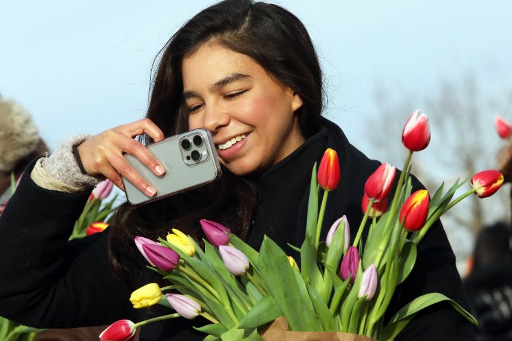 Swingende start van nieuw tulpenseizoen Swingende start van nieuw tulpenseizoen