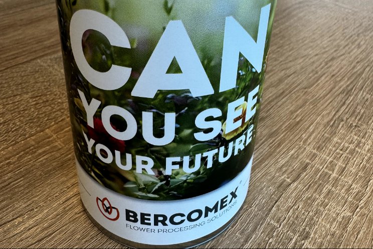 Can you see your future? Can you see your future?