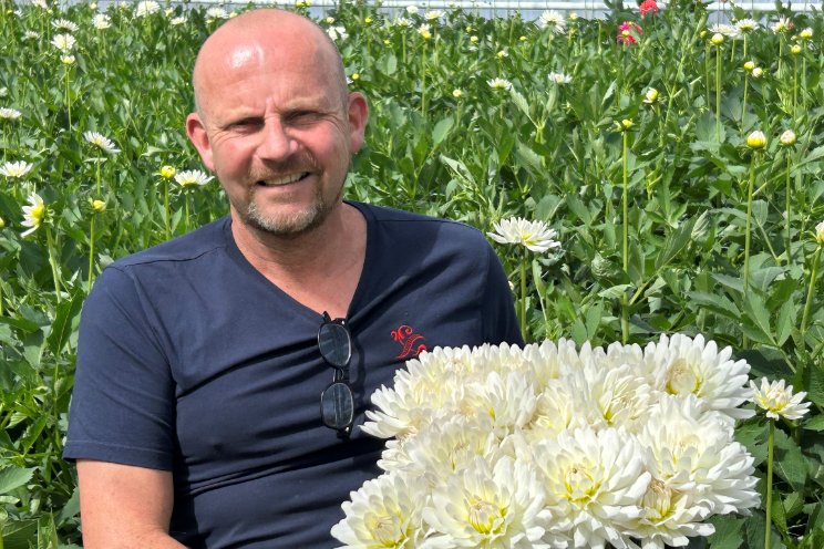 Dahlia Breeders Association lanceert Dahliamerk ABBEY Dahlia Breeders Association lanceert Dahliamerk ABBEY