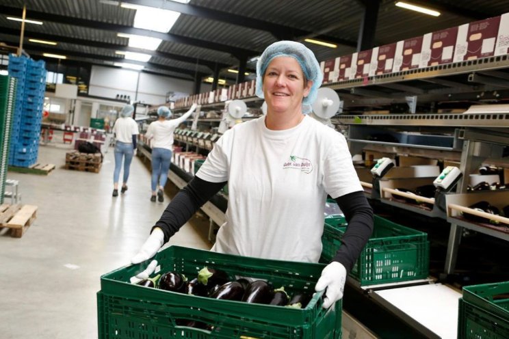 'Personeelsbeleid verder professionaliseren' 'Personeelsbeleid verder professionaliseren'