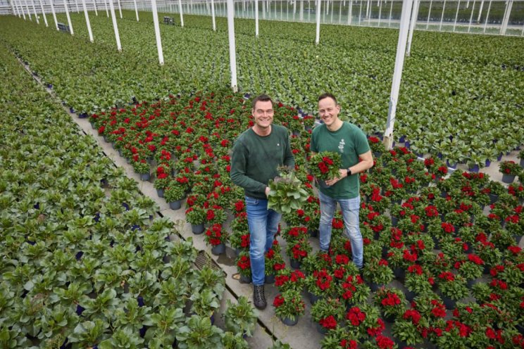 Meet the Grower: Plantanious Meet the Grower: Plantanious