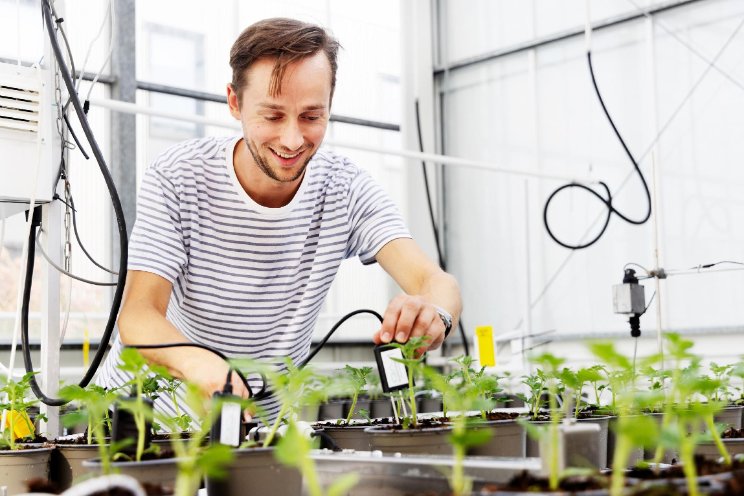 Teams uit hele wereld telen autonoom tomaten Teams uit hele wereld telen autonoom tomaten