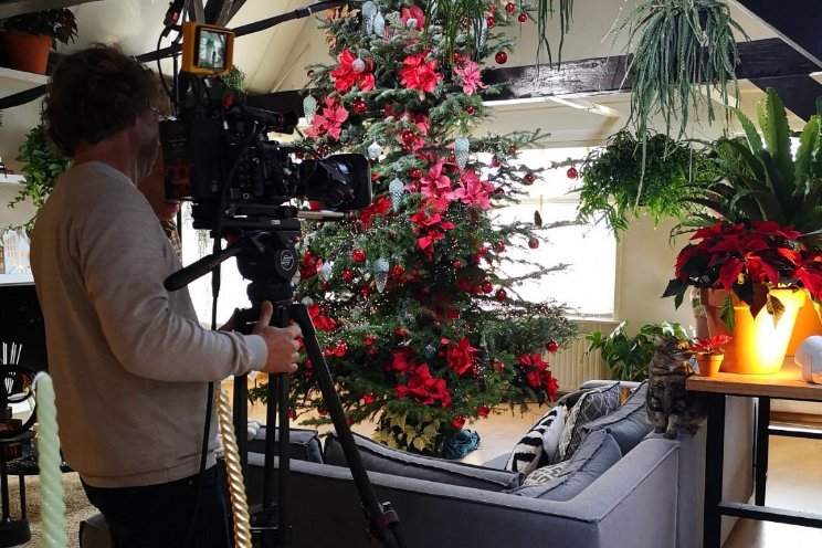 Kerststerren op televisie Kerststerren op televisie