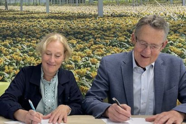 Samenwerken aan afstudeerlab Samenwerken aan afstudeerlab