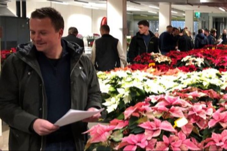 Resultaten benchmark Poinsettia beschikbaar