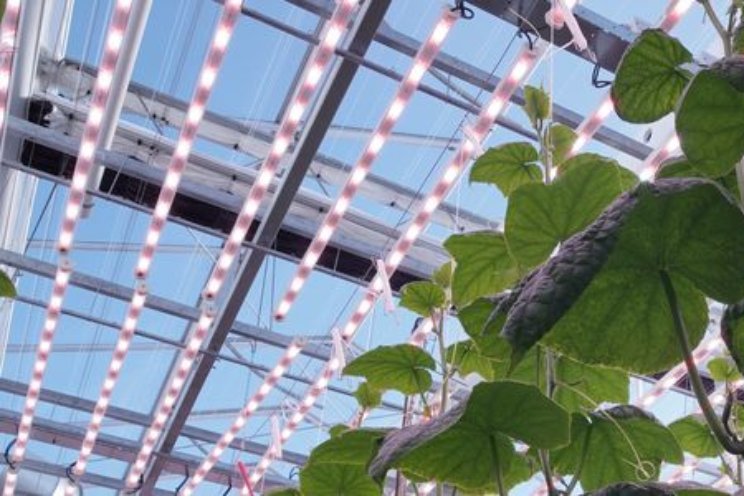 LichtEvent 2024 over LED en dynamisch belichten LichtEvent 2024 over LED en dynamisch belichten