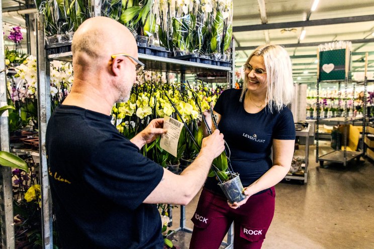 Levoplant Job Fair biedt werkzoekenden kansen Levoplant Job Fair biedt werkzoekenden kansen