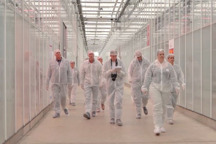 'Zoektocht naar optimale verdamping belichte teelt'