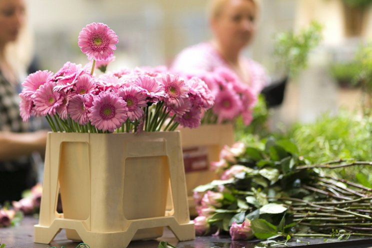 Efficiencyslag door focus bij retailtak Floral Trade Group