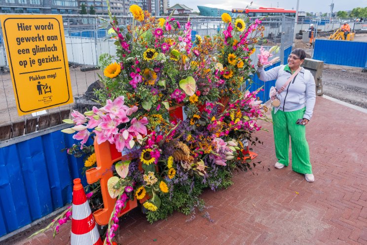 Sierteelt 'verbloemt' wegwerkzaamheden Sierteelt 'verbloemt' wegwerkzaamheden