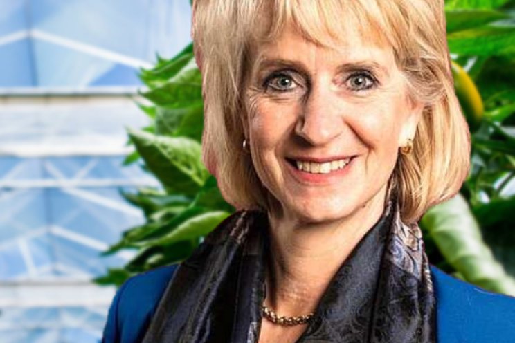 Jolanda Heistek: Leven Lang Ontwikkelen Jolanda Heistek: Leven Lang Ontwikkelen