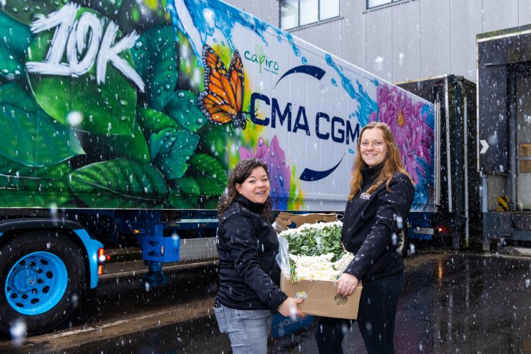 Mijlpalen in bloemen per zeevracht voor DFG Mijlpalen in bloemen per zeevracht voor DFG