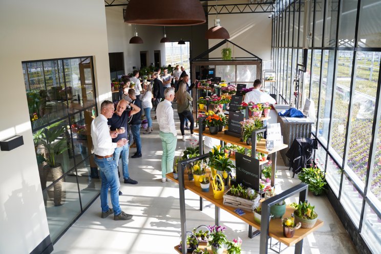 Decorum Spring Fair