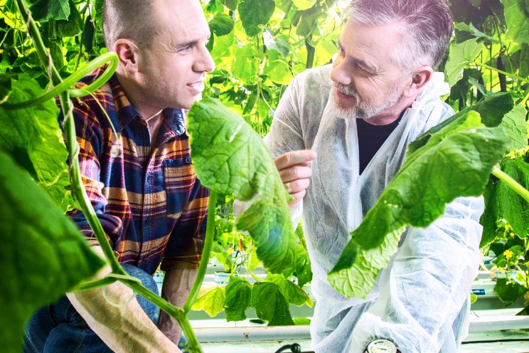 Plant Empowerment lanceert nieuw platform