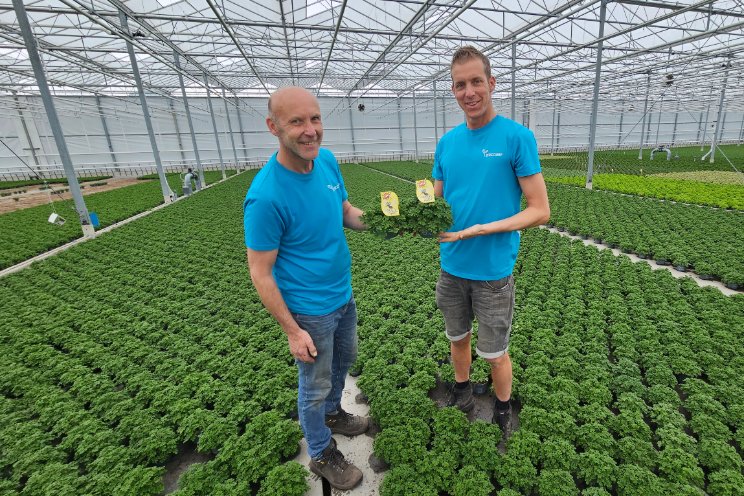 Mosquito Fighter in een nieuw jasje gestoken